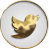 twitter-icon